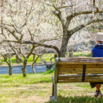 Volunteer Visitor Services